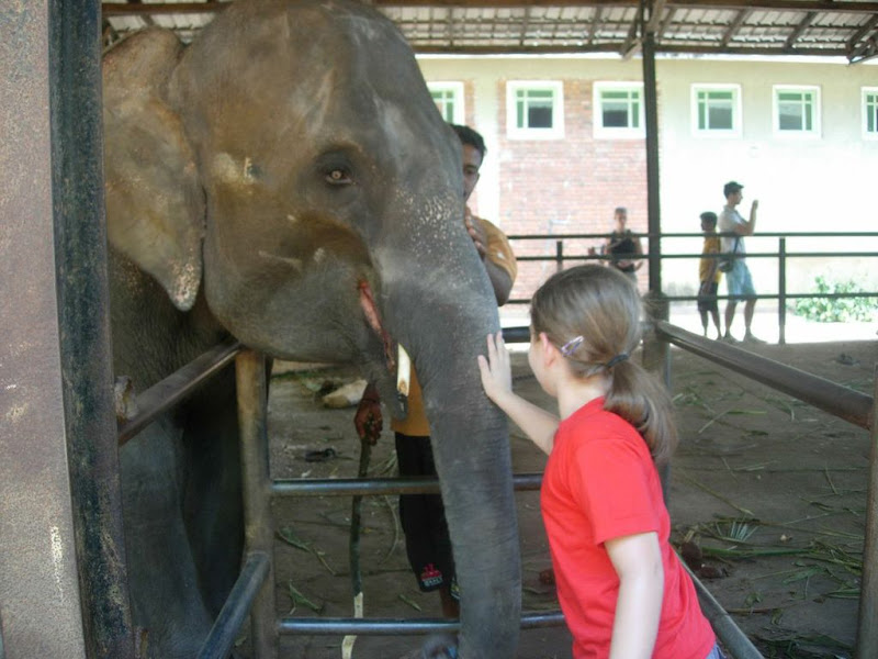 private tours in Sri Lanka